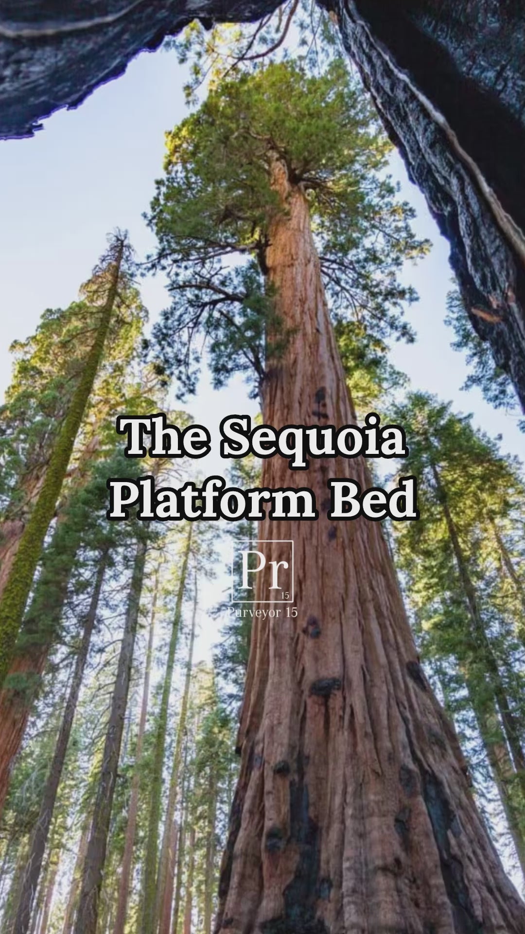 video-sequoia-dimensions