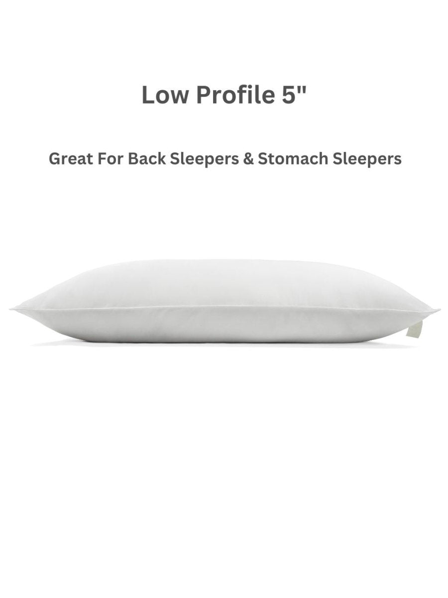 Plant-Based Pillow