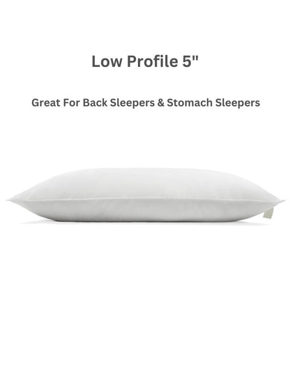 Plant-Based Pillow